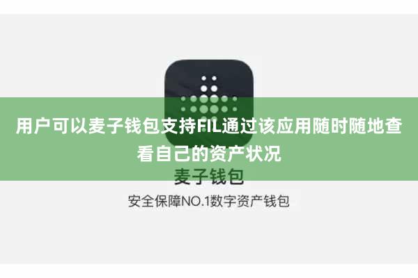 用户可以麦子钱包支持FIL通过该应用随时随地查看自己的资产状况