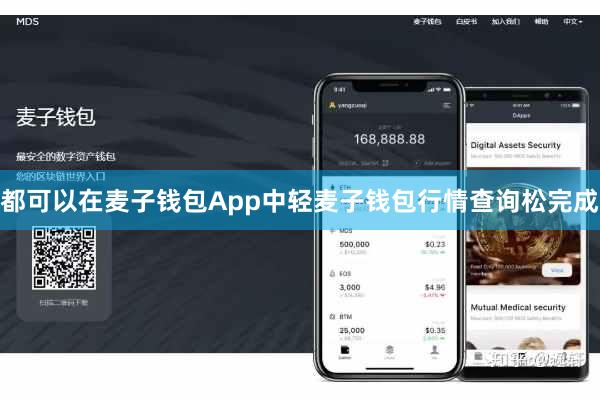 都可以在麦子钱包App中轻麦子钱包行情查询松完成