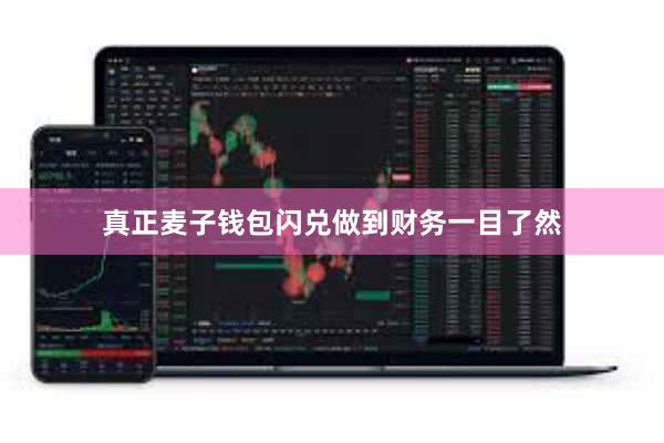 真正麦子钱包闪兑做到财务一目了然