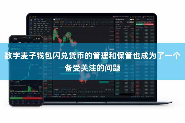 数字麦子钱包闪兑货币的管理和保管也成为了一个备受关注的问题