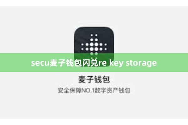 secu麦子钱包闪兑re key storage